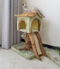 Cat tree - LZ0141