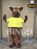 Mascot Chuột Túi Kangaroo