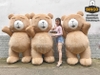 Mascot Hơi Gấu Teddy