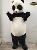 Mascot gấu panda 01