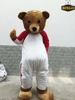 Mascot gấu teddy