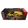 Xe đua điều khiển mở cửa tự động giá rẻ rc car auto 1/24 lamboghini ST901