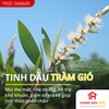 Tinh dầu IDANGCAP tràm gió nguyên chất 10ml