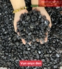 (COMBO) 1kg - Đá onyx đen vụn hạt to 9-12mm