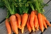 9 lý do bạn nên ăn cà rốt