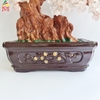Cây Tài Lộc Đá Thạch Anh Hồng