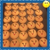 Noel Ginger Cookies 50g (20 packs)