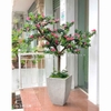 Cây hoa Đỗ Quyên cảnh trang trí LanDecor (165cm) - LC2450 mix