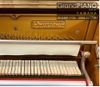 dan-piano-pruthner-no-200