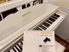 dan-piano-dien-bowman-cx-250-br-mau-nau