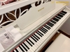 dan-piano-dien-bowman-cx-250-br-mau-nau