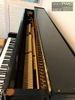dan-piano-laurie-ul2