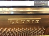 dan-piano-laurie-ul5
