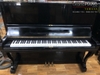 dan-piano-forest-fu55