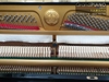 dan-piano-seiler-helman-2a