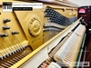 dan-piano-co-yamaha-no-u2-950