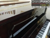 piano-apollo-nhat-ban