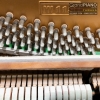 dan-piano-earl-windsor-w113