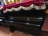 dan-piano-wagner-w7