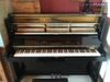dan-piano-winberg-l48-seri-22085xx