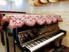 khan-phu-nhat-cho-dan-piano-co