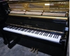 dan-piano-eterna