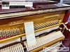 dan-piano-co-apollo-as300-160