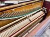 dan-piano-co-atlas-a55m-6500xx