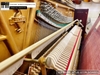 dan-piano-co-atlas-a55m-6500xx