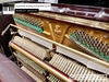 dan-piano-co-atlas-na605-160