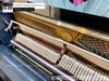 dan-piano-co-bernhard-steiner-u118-97071xx
