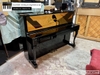 dan-piano-co-bernhard-steiner-u118-97071xx