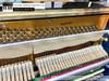 dan-piano-co-bernhard-steiner-u118-97071xx
