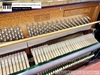 dan-piano-co-bernstein-bu230d-497xx