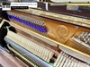 dan-piano-co-bernstein-bu230d-497xx