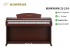 dan-piano-dien-bowman-cx-250-br-mau-nau