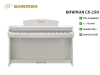 dan-piano-dien-bowman-cx-250-br-mau-nau