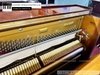 dan-piano-co-carlseiler-133d-555xx