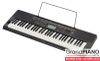 dan-organ-casio-ctk-2500
