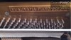 dan-piano-fukuyama-sons-special