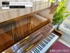 dan-piano-co-elsner-132dw