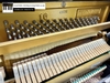 dan-piano-co-eterna-10-435xx