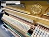 dan-piano-co-eterna-10-435xx