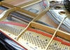 dan-grand-piano-yamaha-g5e