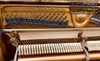 dan-piano-gershwin-no-500-a-80