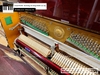 dan-piano-co-friedrich-f102-52
