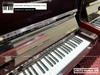 dan-piano-co-fritz-kuhla-38