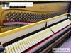 dan-piano-co-fritz-kuhla-38