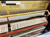 dan-piano-co-fritzkuhla-30-1028xx
