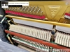 dan-piano-co-fritzkuhla-30-1028xx